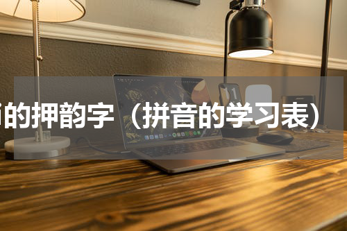 ei的押韵字（拼音的学习表）