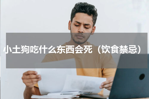 小土狗吃什么东西会死（饮食禁忌）