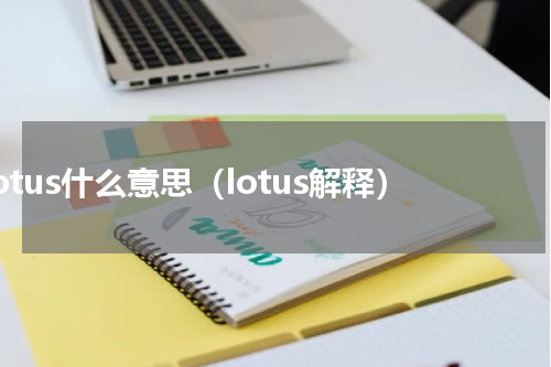 lotus什么意思（lotus解释）