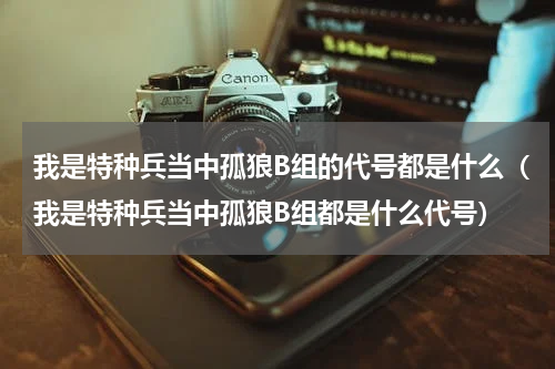 我是特种兵当中孤狼B组的代号都是什么（我是特种兵当中孤狼B组都是什么代号）