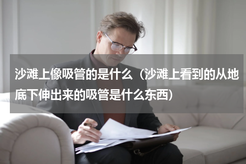 沙滩上像吸管的是什么（沙滩上看到的从地底下伸出来的吸管是什么东西）