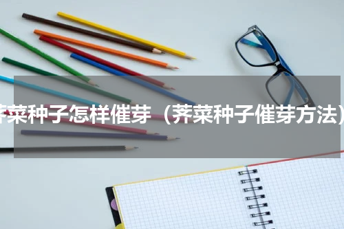荠菜种子怎样催芽（荠菜种子催芽方法）