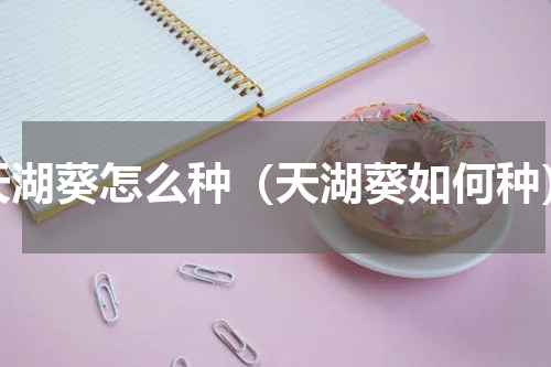 天湖葵怎么种（天湖葵如何种）
