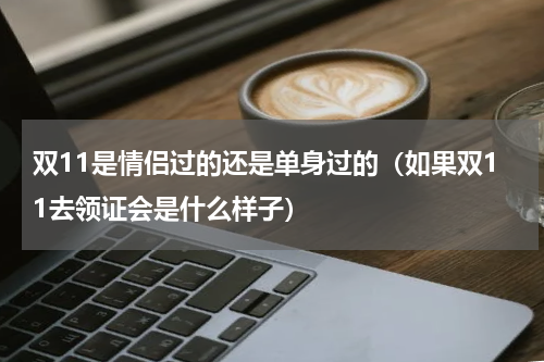 双11是情侣过的还是单身过的（如果双11去领证会是什么样子）