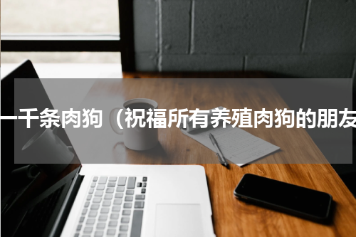 养一千条肉狗（祝福所有养殖肉狗的朋友）