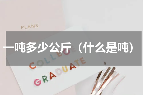 一吨多少公斤（什么是吨）