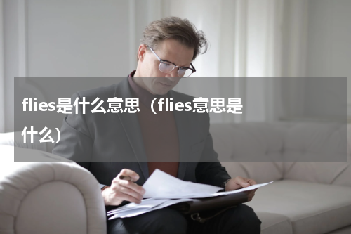 flies是什么意思（flies意思是什么）