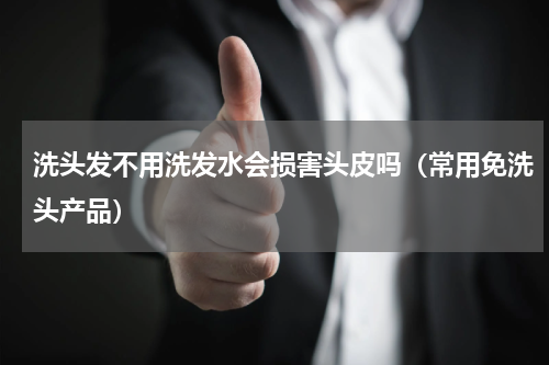 洗头发不用洗发水会损害头皮吗（常用免洗头产品）