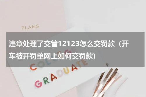 违章处理了交管12123怎么交罚款（开车被开罚单网上如何交罚款）