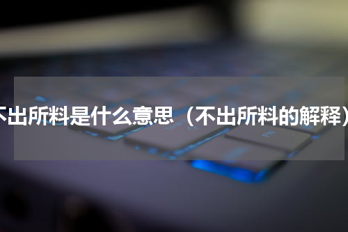 不出所料是什么意思（不出所料的解释）