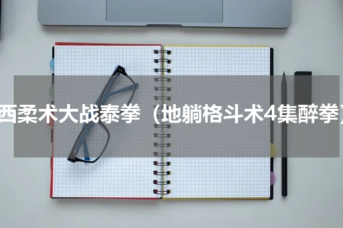 巴西柔术大战泰拳（地躺格斗术4集醉拳）