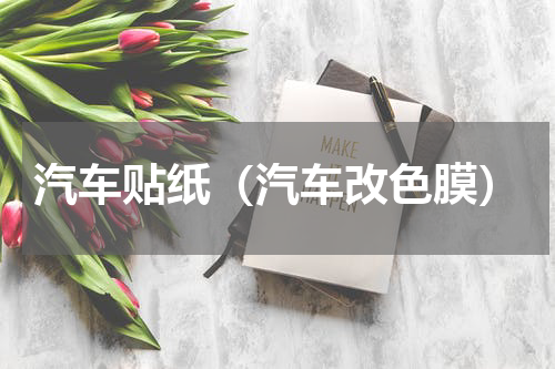 汽车贴纸（汽车改色膜）