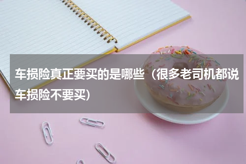 车损险真正要买的是哪些（很多老司机都说车损险不要买）