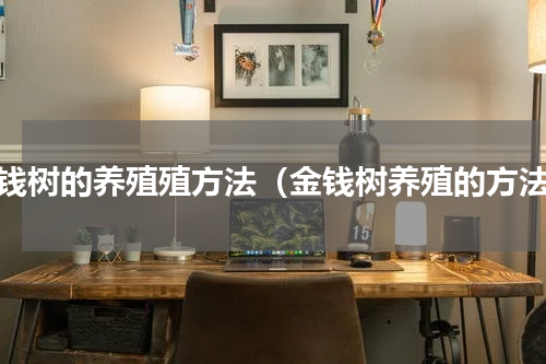 金钱树的养殖殖方法（金钱树养殖的方法）