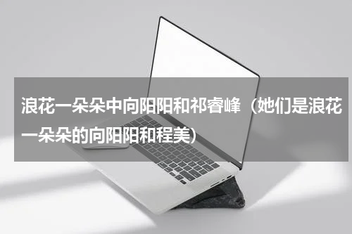 浪花一朵朵中向阳阳和祁睿峰（她们是浪花一朵朵的向阳阳和程美）