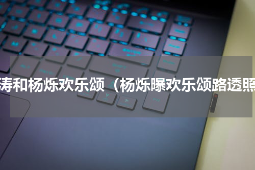 刘涛和杨烁欢乐颂（杨烁曝欢乐颂路透照）