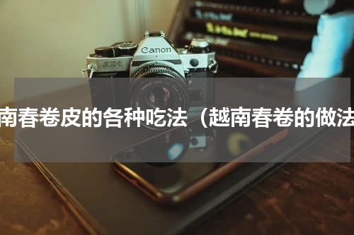 越南春卷皮的各种吃法（越南春卷的做法）