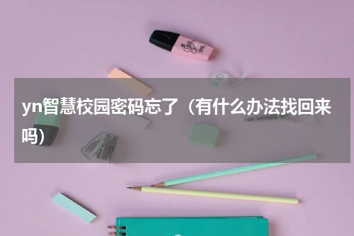 yn智慧校园密码忘了（有什么办法找回来吗）
