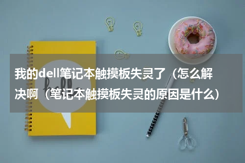 我的dell笔记本触摸板失灵了（怎么解决啊（笔记本触摸板失灵的原因是什么）
