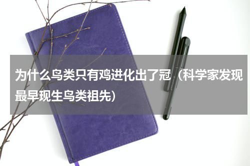 为什么鸟类只有鸡进化出了冠（科学家发现最早现生鸟类祖先）