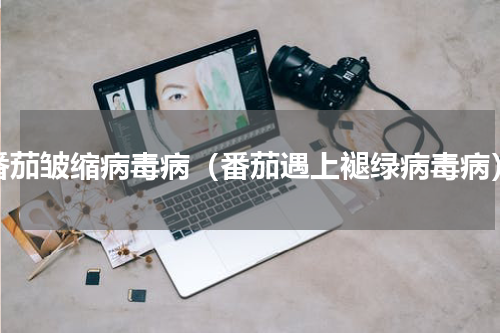 番茄皱缩病毒病（番茄遇上褪绿病毒病）