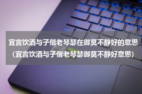 宜言饮酒与子偕老琴瑟在御莫不静好的意思（宜言饮酒与子偕老琴瑟御莫不静好意思）