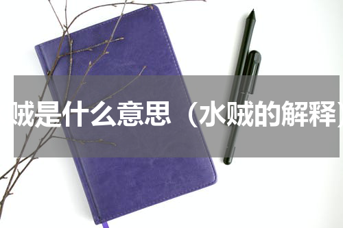 水贼是什么意思（水贼的解释）