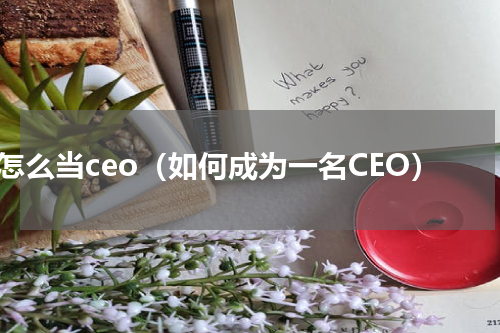 怎么当ceo（如何成为一名CEO）