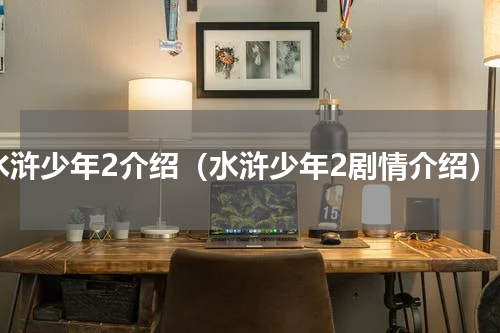 水浒少年2介绍（水浒少年2剧情介绍）