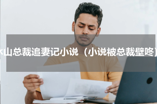 冰山总裁追妻记小说（小说被总裁壁咚）