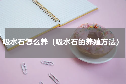 吸水石怎么养（吸水石的养殖方法）