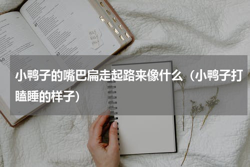小鸭子的嘴巴扁走起路来像什么（小鸭子打瞌睡的样子）