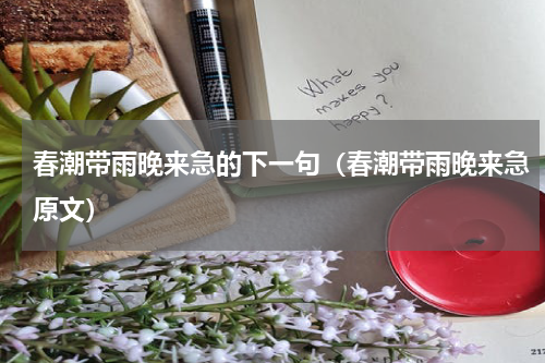 春潮带雨晚来急的下一句（春潮带雨晚来急原文）
