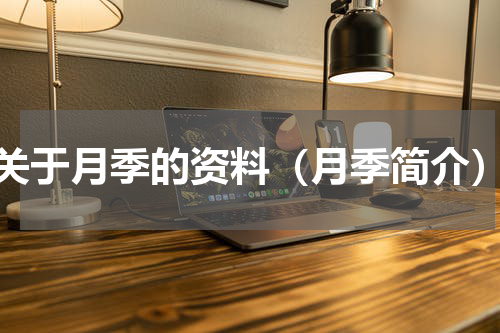 关于月季的资料（月季简介）