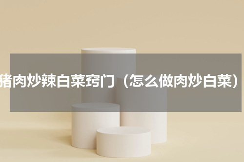 猪肉炒辣白菜窍门（怎么做肉炒白菜）
