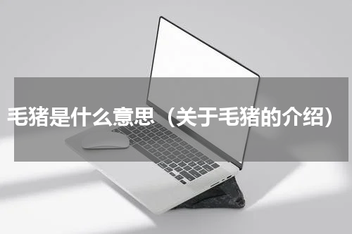 毛猪是什么意思（关于毛猪的介绍）