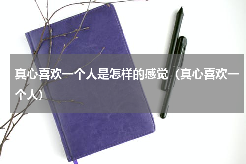 真心喜欢一个人是怎样的感觉（真心喜欢一个人）