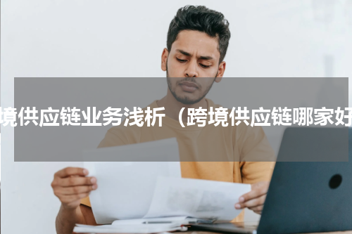 跨境供应链业务浅析（跨境供应链哪家好）