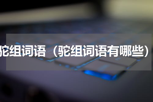 驼组词语（驼组词语有哪些）