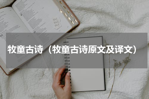 牧童古诗（牧童古诗原文及译文）
