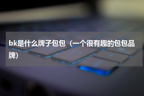 bk是什么牌子包包（一个很有趣的包包品牌）