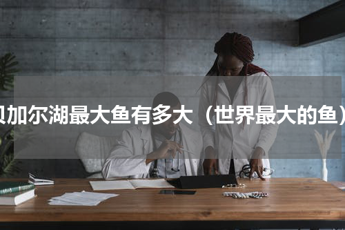贝加尔湖最大鱼有多大（世界最大的鱼）