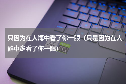 只因为在人海中看了你一眼（只是因为在人群中多看了你一眼）