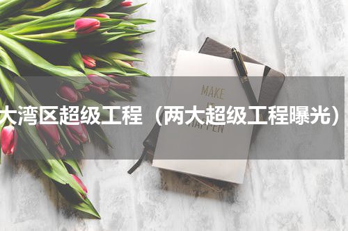 大湾区超级工程（两大超级工程曝光）