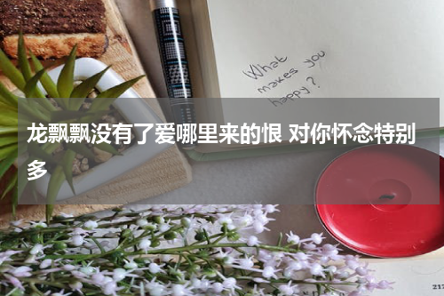 龙飘飘没有了爱哪里来的恨 对你怀念特别多