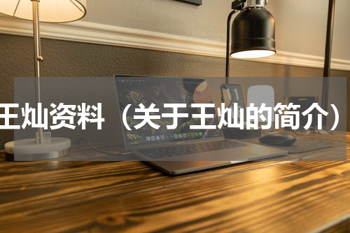 王灿资料（关于王灿的简介）