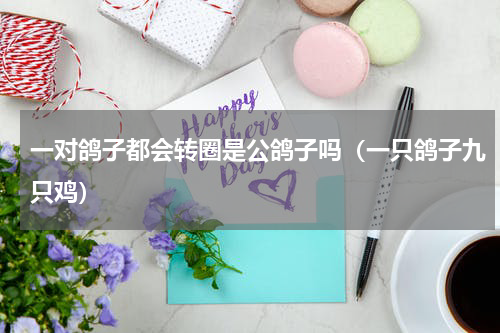 一对鸽子都会转圈是公鸽子吗（一只鸽子九只鸡）