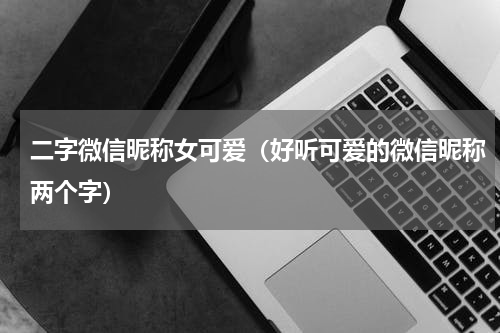 二字微信昵称女可爱（好听可爱的微信昵称两个字）
