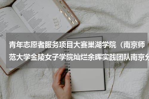 青年志愿者服务项目大赛巢湖学院（南京师范大学金陵女子学院灿烂余晖实践团队南京分队活动总结）