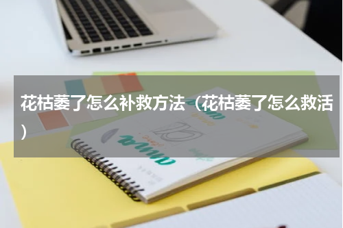花枯萎了怎么补救方法（花枯萎了怎么救活）
